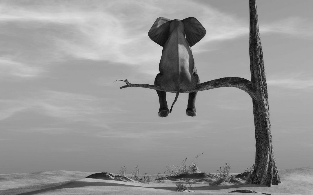 Learning to Adapt