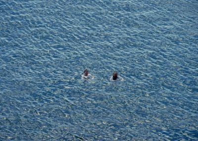 2 people swimming