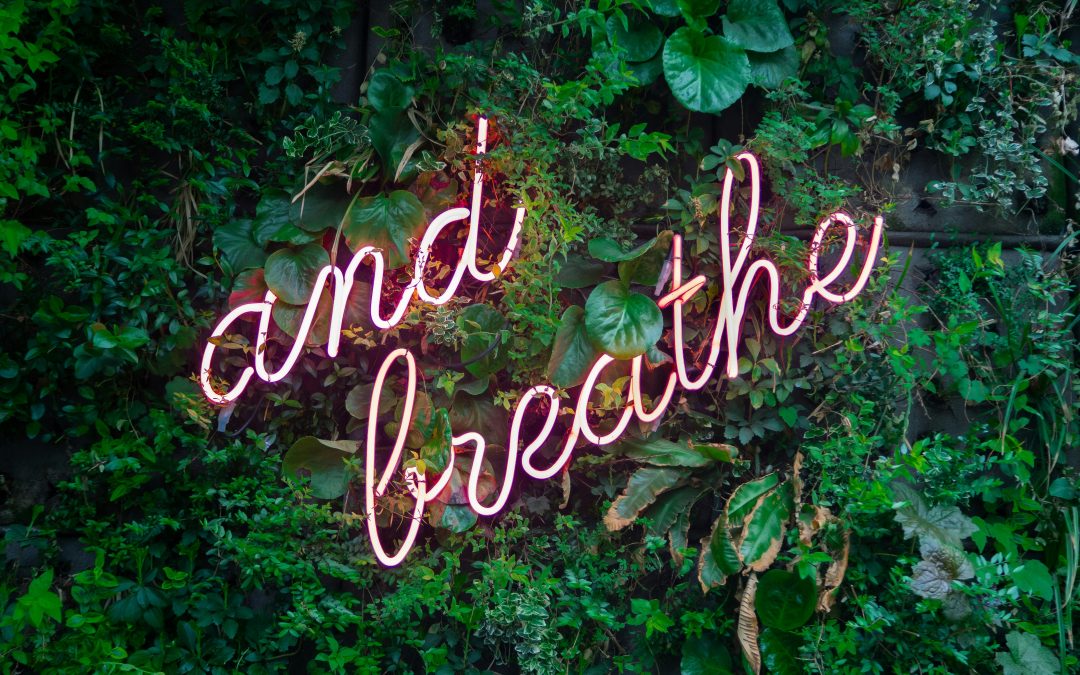 Teachers Summer Holiday Challenges and Self-Care