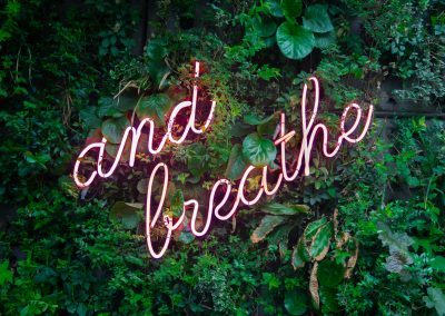teacher wellbeing summer